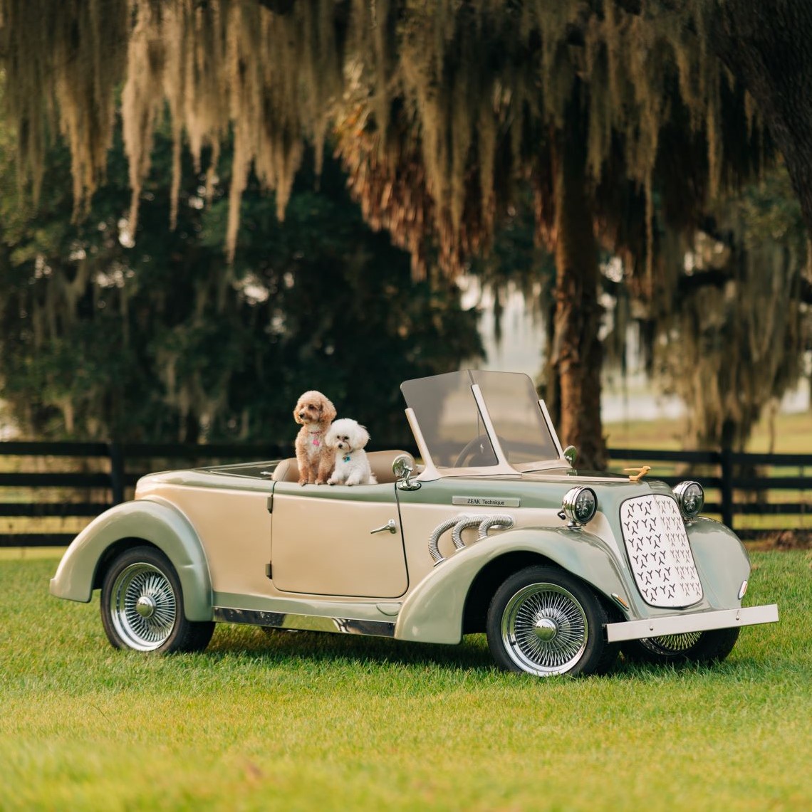 Picture of golf car and dogs