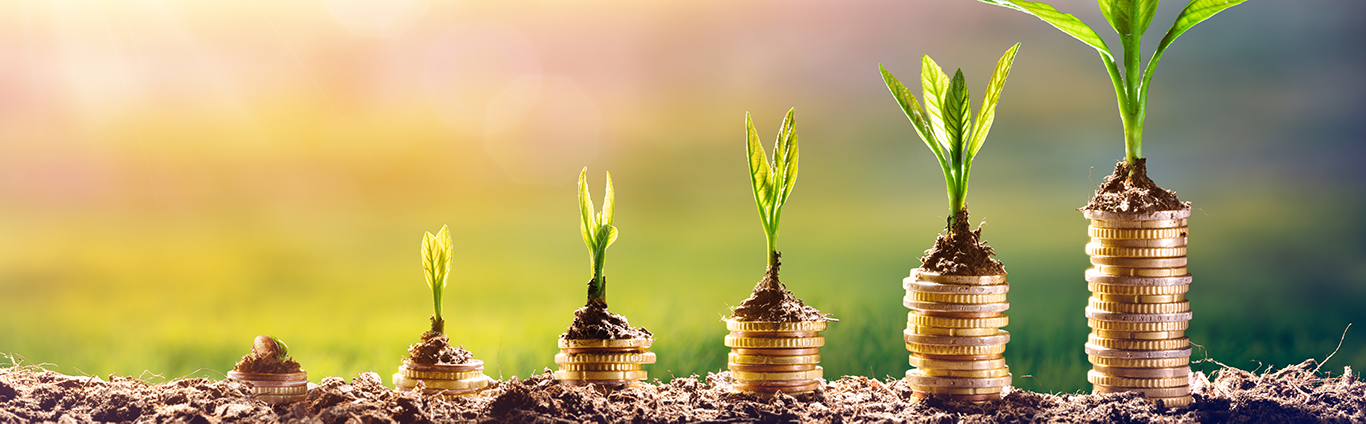 Coins with plant sprouts